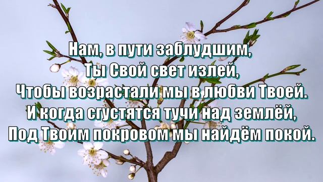 204 Вся земля согрета (минус)