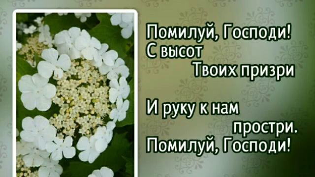 202 О, внемли, Господи! (-)