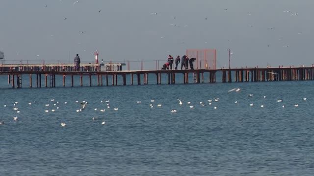 У основания пирсов в акватории вдоль пляжей Анапы под водой обнаружили фрагменты мазута