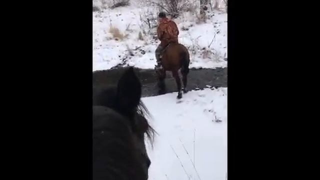Сны Горной Скифии _ Импровизация на гудке.