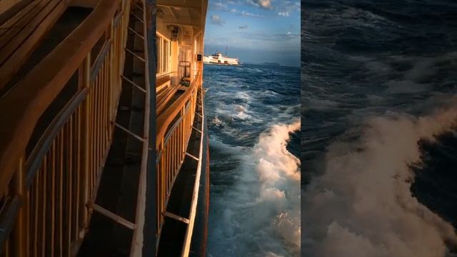 14124681-hd_1080_1920_60fps