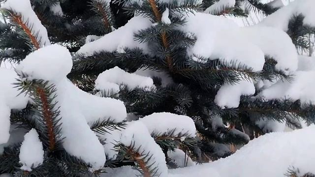 стихи Павлова Василия