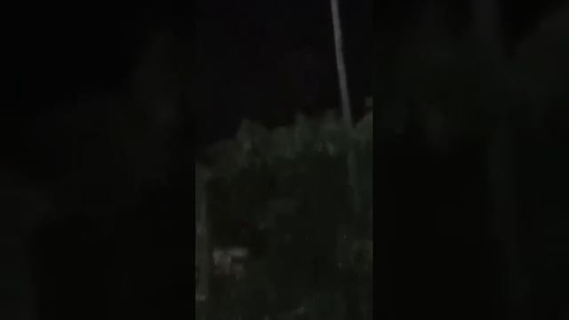 Нечто_паранормальное_или_обычный_человек_