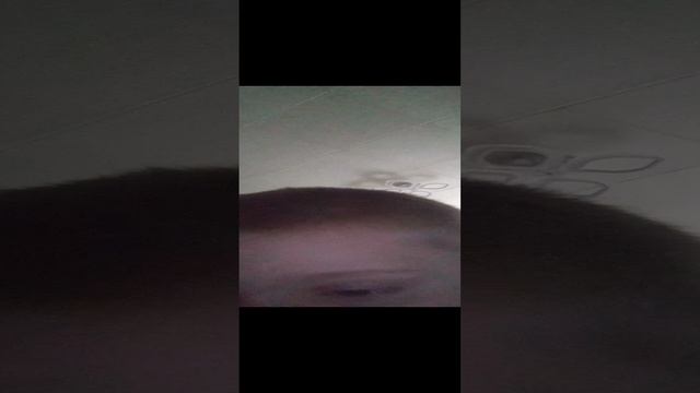 VID_20250116_132514.mp4