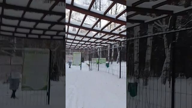 VID-20250116-WA0009
