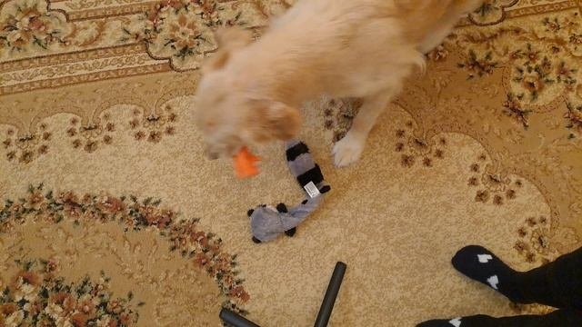 1000033506.mp4