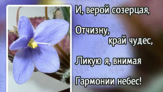 220 В душе моей порою (-)