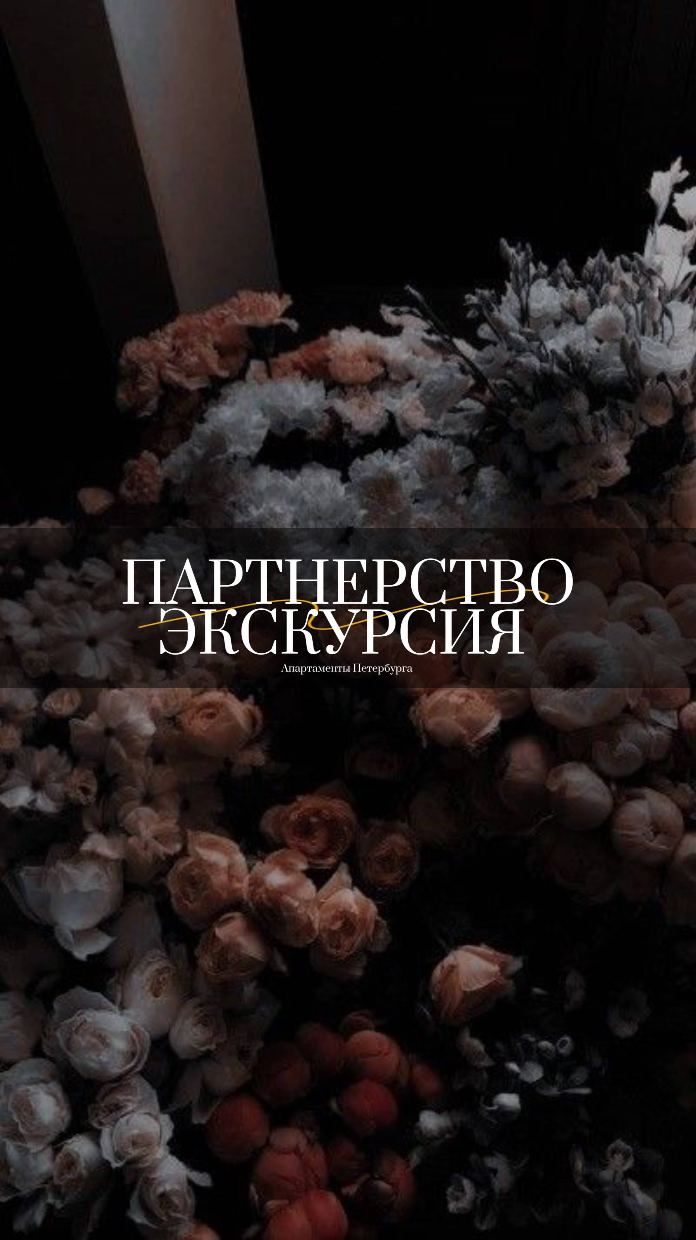 Апартаменты Петербурга, экскурсия Shorts