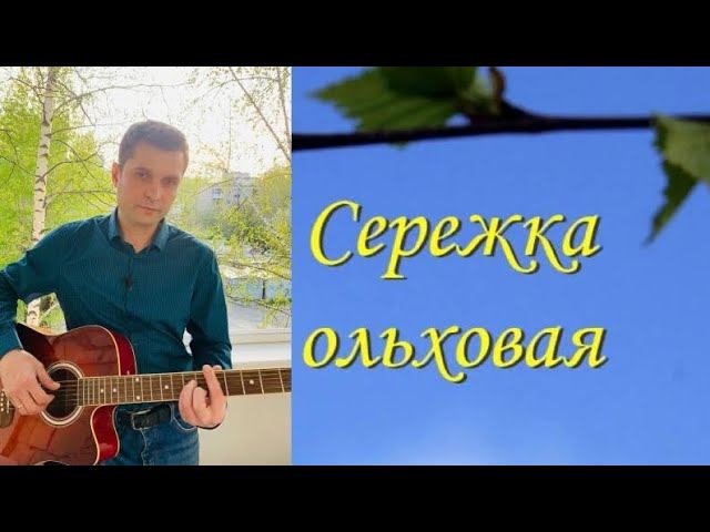 #Серёжкаольховая #подгитару #guitar #живаямузыка