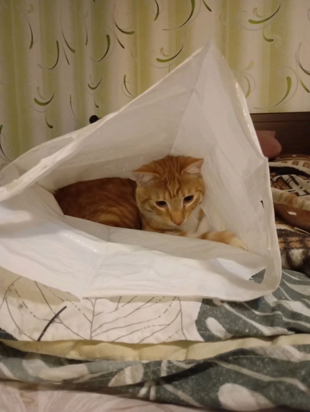 хи