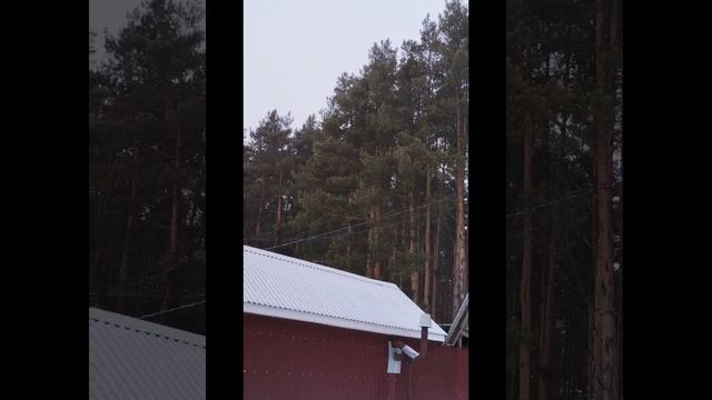 Снежный зимний день