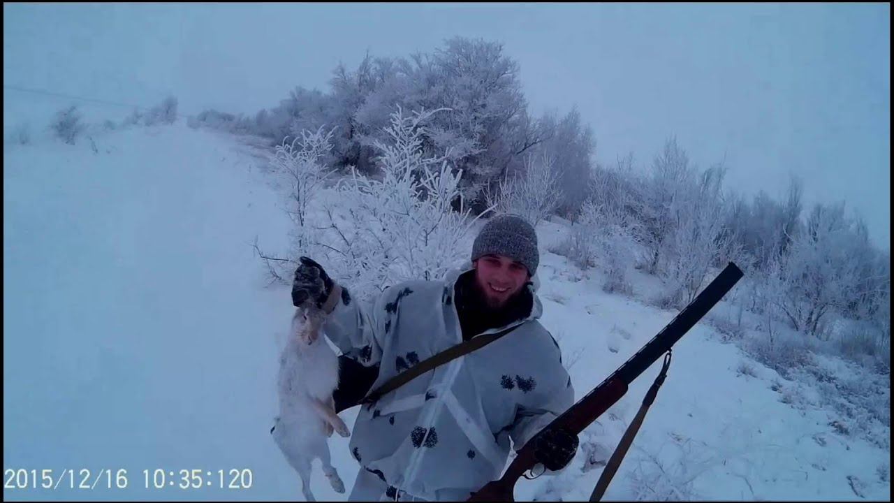 Охота на зайца зимой №3
