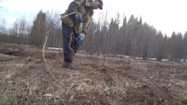 В погоне за прибылью 🤑