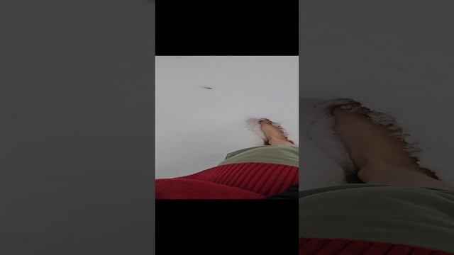 1000094484.mp4