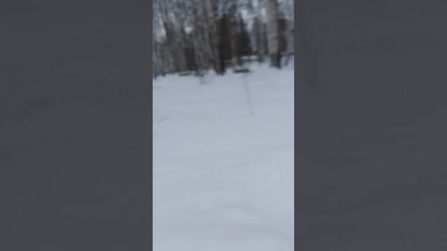 VID-20250116-WA0024
