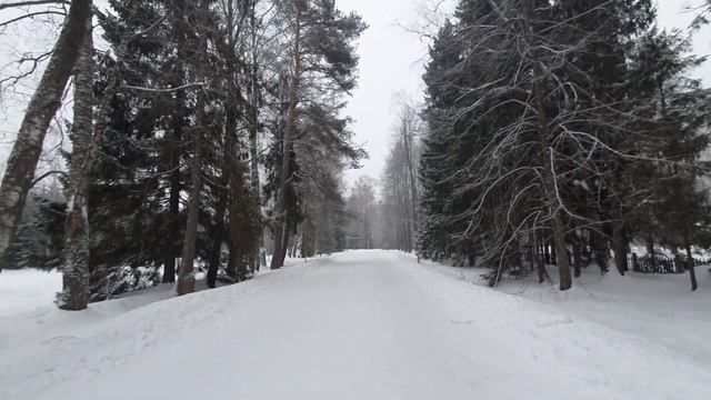 Настоящая зима в Костромской области. Щелыково.