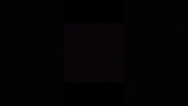 с работка дачика