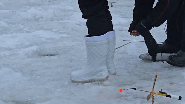 16.01.25 г. Парк отдыха водопад