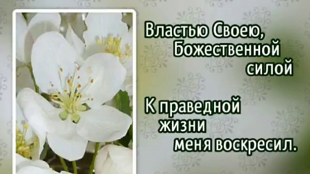 295 Славлю Тебя, мой Господь-Искупитель! (-)