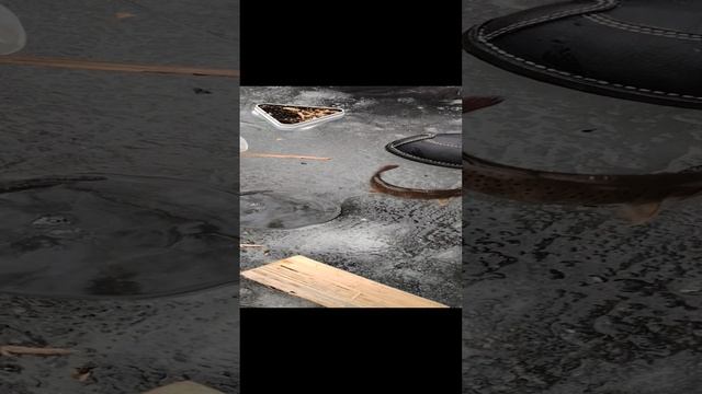 16-01-2025