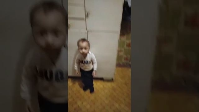 scene_output.mp4