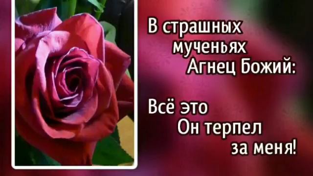 47 Шёл на Голгофу Агнец невинный (-)