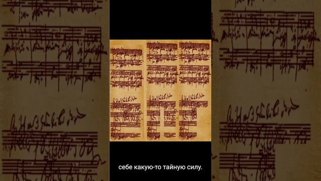 1000021377.mp4