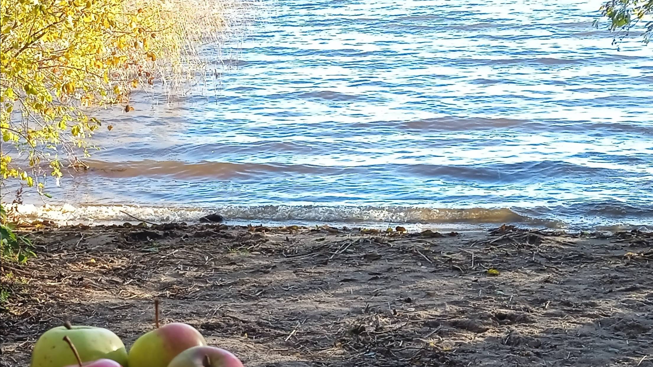 Поздняя осень