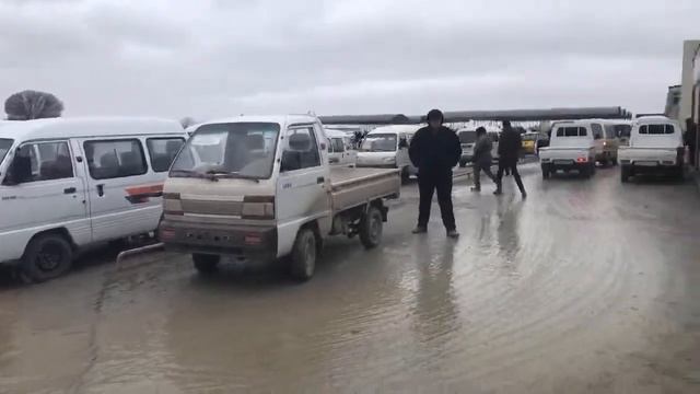 ПРЯМОЙ ЭФИР ХОРАЗМ МОШИНА БОЗОРИ НАРХЛАРИ