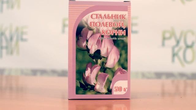 Стальник - применение и показания. Купить  стальник корень в фито-аптеке «Русские корни»