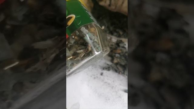 Бронза  и Латунь потихоньку копим цветной металл