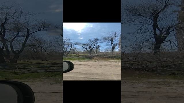 1000002498.mp4