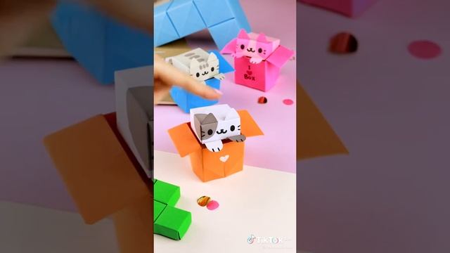 кот и коробочка. 🥡 😺