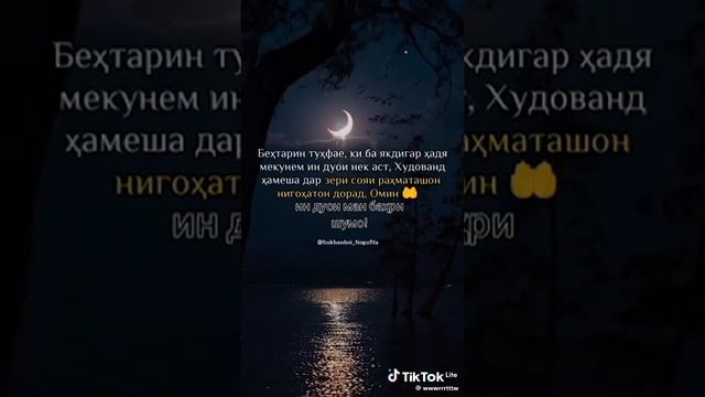 Дорат Омин