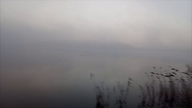 1000024347.mp4