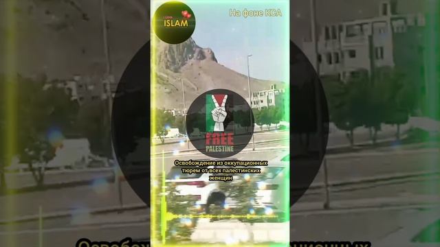Хорошие новости из Палестины Сектор Газа