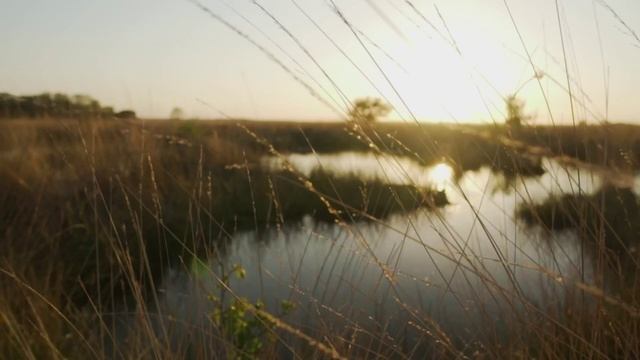 ЛУННАЯ КОЛЫБЕЛЬ_Relax_Николай Гуричев