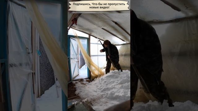 Пранк