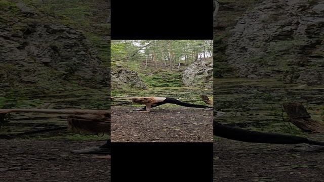 1000051688.mp4