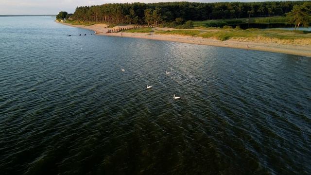 СНТ Мечта, Калининград