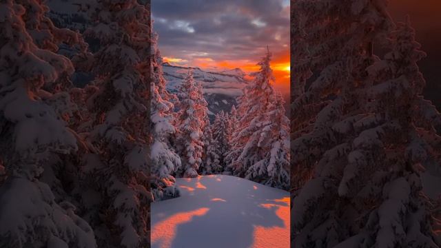 Германия,горы.