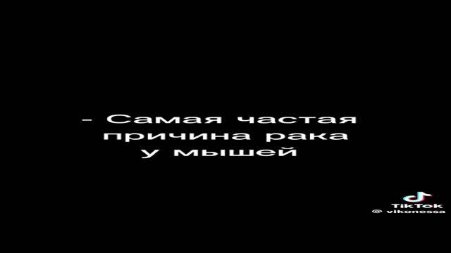 чуя давай и ты