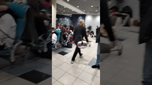 Аэропорт Домодедово. Сектор D.