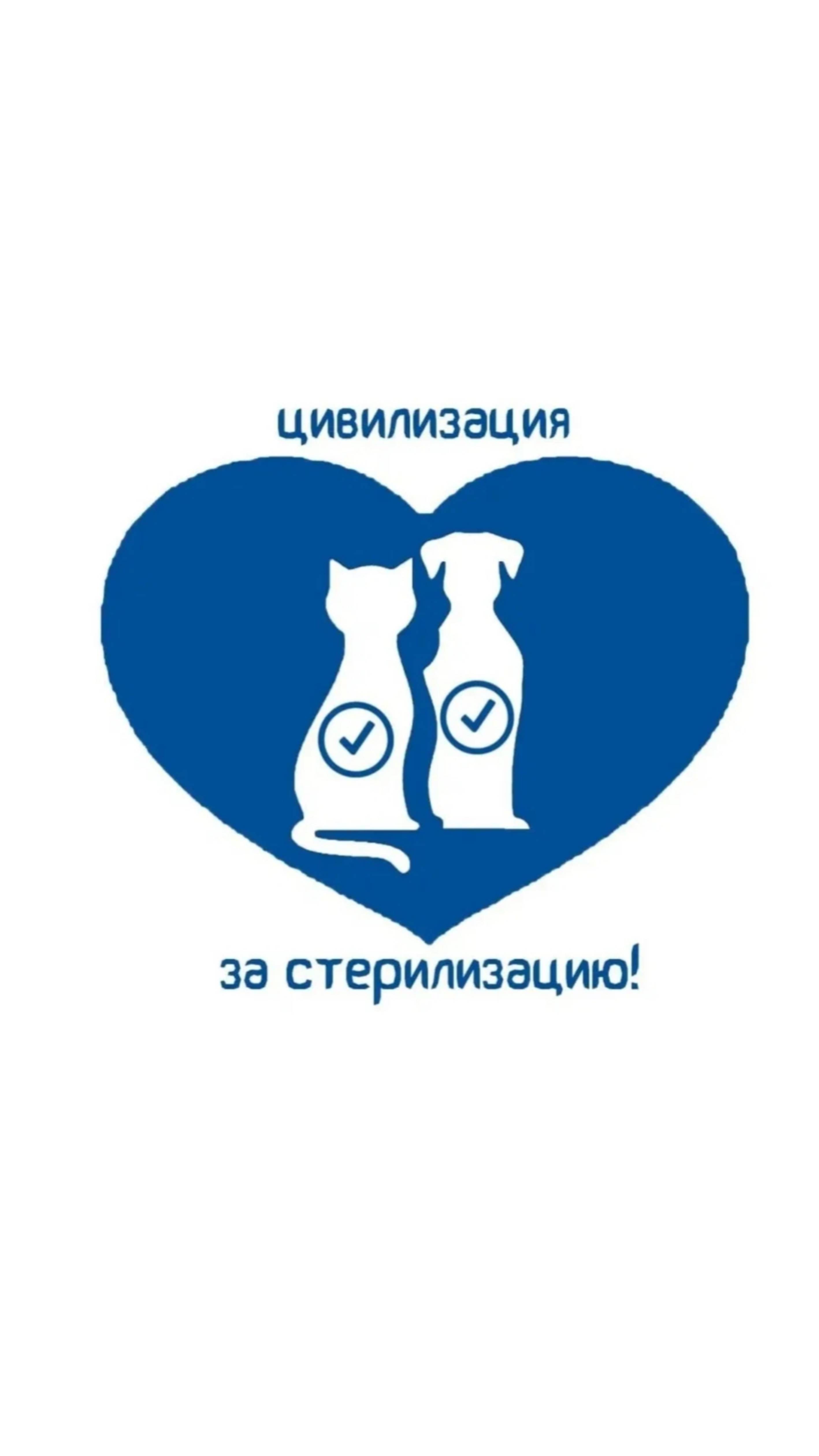 Нужна финансовая помощь в отлове и стерилизации бездомной дикушки🙏