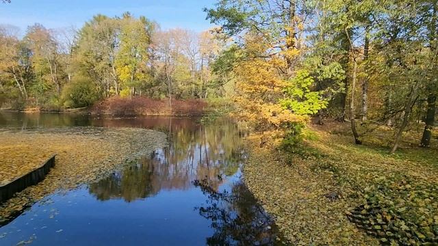 Осень в ЦПКО им. Кирова в Санкт-Петербурге