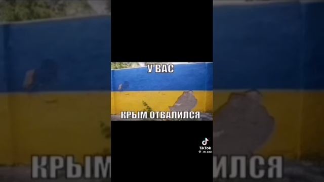 1000002331.mp4