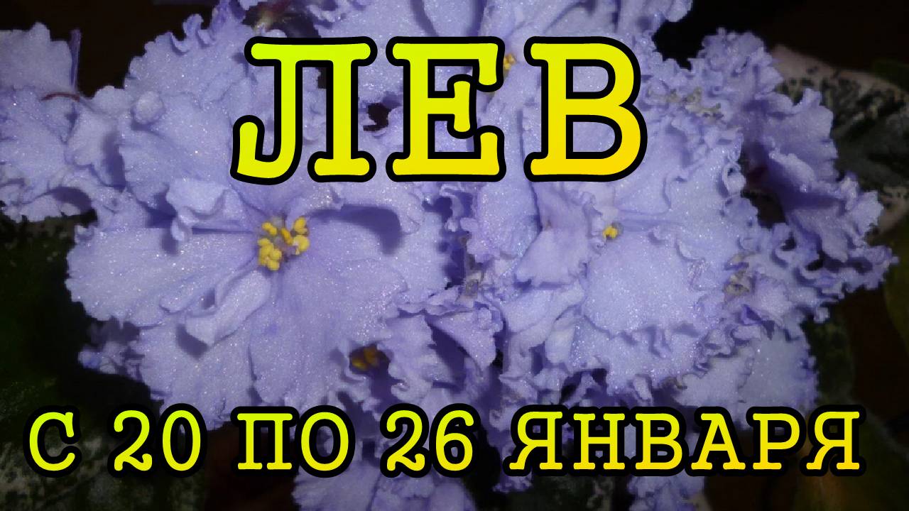 ЛЕВ таро прогноз на неделю с 20 по 26 ЯНВАРЯ 2025 года.