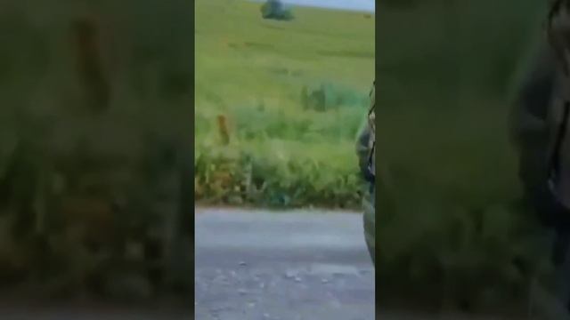 Смелые Шаги К Победе:Как Мы Преодолеваем Все Препятствия!#edit #Победа #military #россия #сво