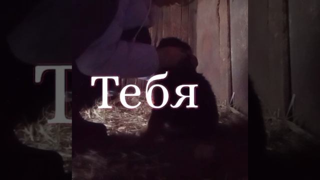 1000073134.mp4
