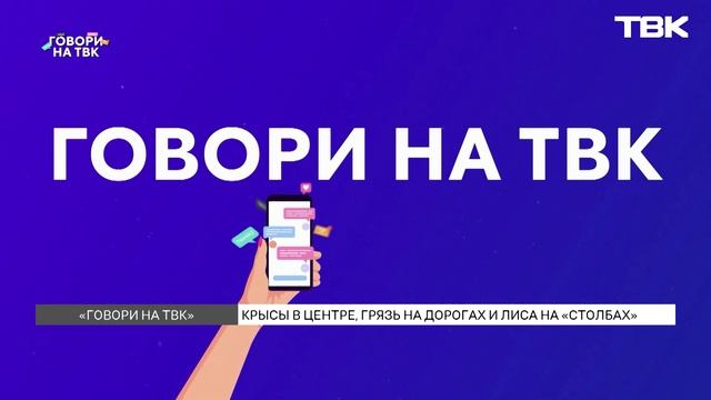 Как разобраться со стаями крыс во дворе? / «Говори на ТВК»